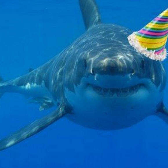 Meet your Posher, April - Picture 1 of 1